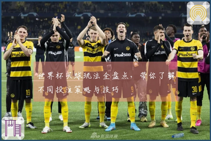 世界杯买球玩法全盘点，带你了解不同投注策略与技巧