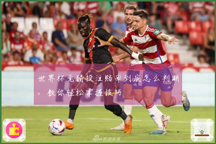 世界杯竞猜投注赔率到底怎么判断，教你轻松掌握技巧