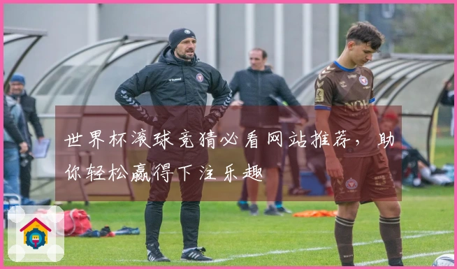 世界杯滚球竞猜必看网站推荐，助你轻松赢得下注乐趣