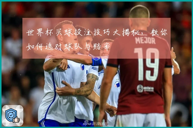 世界杯买球投注技巧大揭秘，教你如何选对球队与赔率