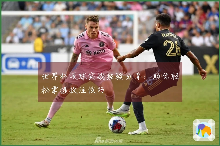 世界杯滚球实战经验分享，助你轻松掌握投注技巧