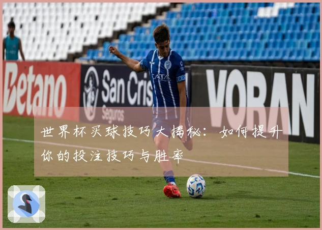 世界杯买球技巧大揭秘：如何提升你的投注技巧与胜率