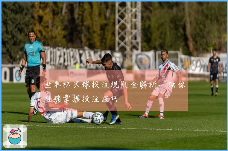 世界杯买球投注规则全解析，助你准确掌握投注技巧