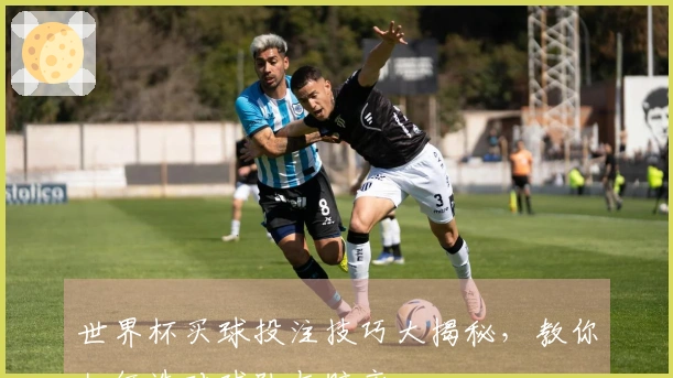 世界杯买球投注技巧大揭秘，教你如何选对球队与赔率